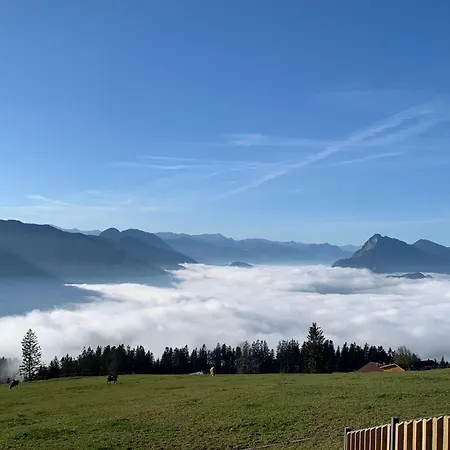 Murmelbau Kiefersfelden