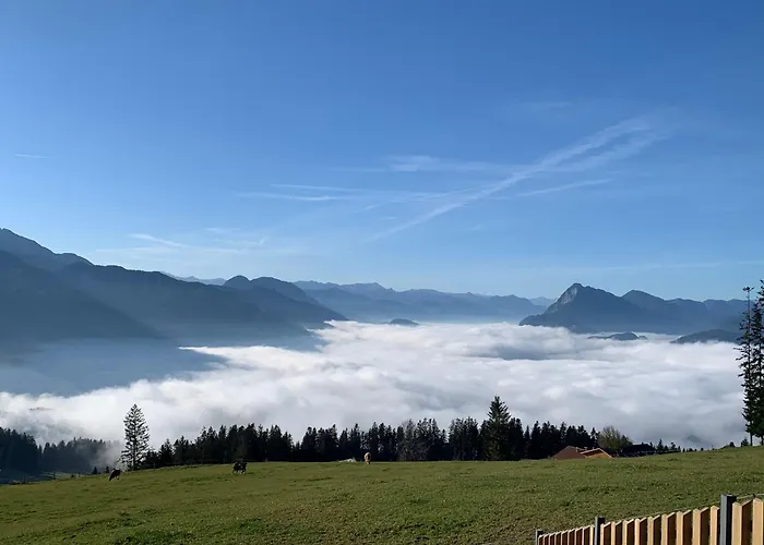 Murmelbau Kiefersfelden